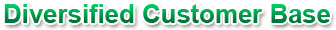 Diversified Customer Base